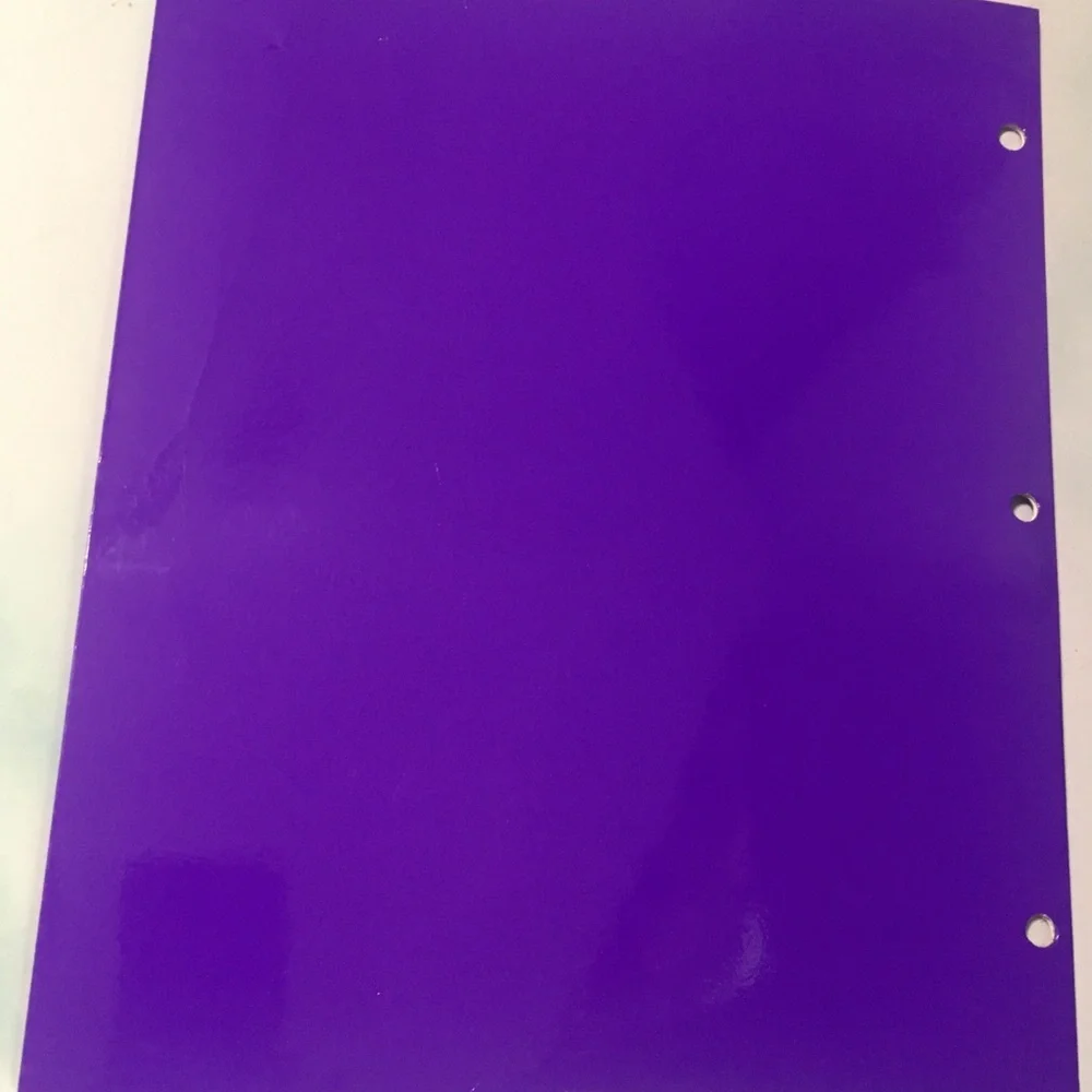 SAILOR MOON Stickers On Purple Folder